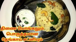 THINAI PONGAL  COCONUT CHUTNEY  FOXTAIL MILLET RECIPES  CHUTNEY IN TAMIL  BREAKFAST RECIPE [upl. by Iver527]