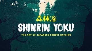 Shinrin Yoku The Art of Forest Bathing  Short Film [upl. by Atsed332]