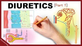 Pharmacology  Diuretics Simplified Part 1 [upl. by Anitnelav]