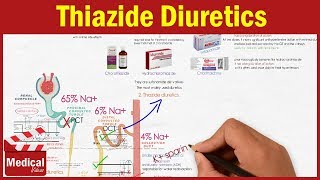 Pharmacology CVS 8 Diuretics  Thiazide Diuretics  Chlorothiazide Hydrochlorothiazide [upl. by Nemad419]