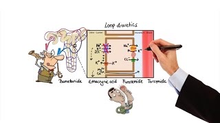 Pharmacology  DIURETICS MADE EASY [upl. by Hatti444]