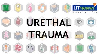 Urethral Trauma [upl. by Hajidak]