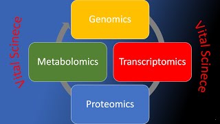 Metabolomics [upl. by Edwards688]