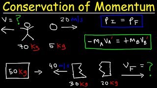 Conservation of Momentum Physics Problems  Basic Introduction [upl. by Blen]