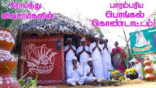 PONGAL CELEBRATION in Village by farmers  We celebrate Our Traditional Festival in Our Village [upl. by Analaf]