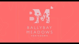 Ballybay Meadows Portadown [upl. by Gwenn]