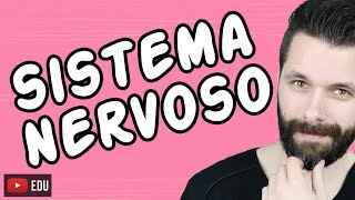 SISTEMA NERVOSO  FISIOLOGIA  Aula  Biologia com Samuel Cunha [upl. by Dolf250]