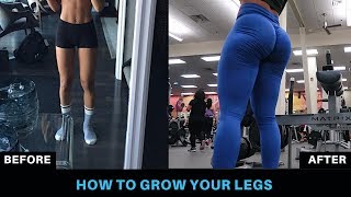 HOW TO GROW YOUR LEGS  FULL LEG WORKOUT [upl. by Candice]