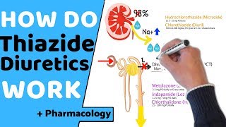 How do Thiazide Diuretics Work  Pharmacology [upl. by Daraj]