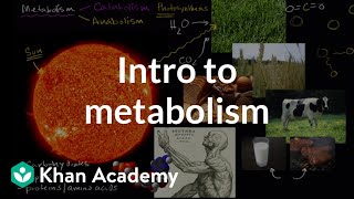 Introduction to metabolism anabolism and catabolism  Khan Academy [upl. by Mij191]