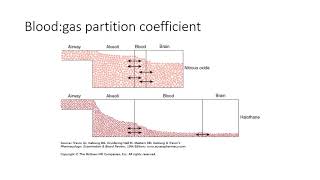 Pharmacokinetics series 8  inhalational anaesthetic kinetics [upl. by Xela]