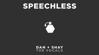 Dan  Shay  Speechless The Vocals [upl. by Ioved523]