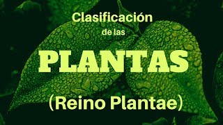 Reproducción en plantas  Ciencias Naturales [upl. by Nohj]