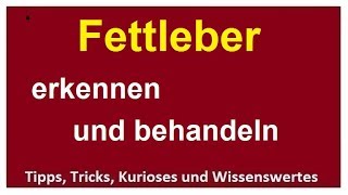 Fettleber erkennen und behandeln  Beschwerden Leber entgiften und heilen mit Lebensmitteln [upl. by Kriste]