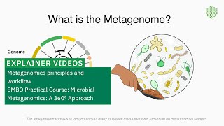 Metagenomics principles and workflow [upl. by Hollie861]