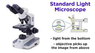 Light Microscopy Function and Utility [upl. by Koetke]