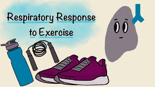 Respiratory Response To Exercise  Respiratory Physiology [upl. by Atis675]