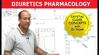 Diuretics  Pharmacology  Dr Najeeb [upl. by Yuht]