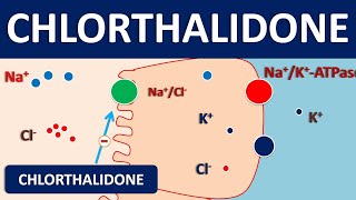 Chlorthalidone 25 mg tablet  Diuretic amp uses [upl. by Kletter]