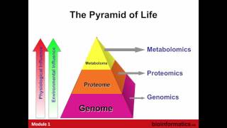 Introduction to Metabolomics [upl. by Anilem]