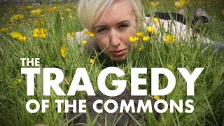 The Tragedy of the Commons  Shed Science [upl. by Africah881]