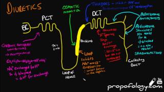 Diuretics in 3 Minutes Pharmacology [upl. by Kuebbing993]