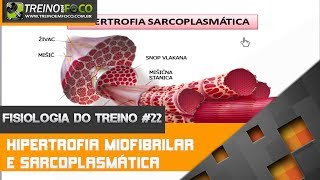 Hipertrofia Miofibrilar e Hipertrofia Sarcoplasmática  Fisiologia do Treino 22 [upl. by Euqinobe]