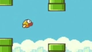 Flappy Bird Gameplay [upl. by Rodrique]