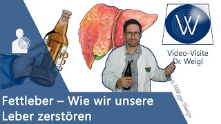 Fettleber amp Leberschaden durch Alkohol falsche Ernährung Medikamente 🍻🍔💊 erkennen amp behandeln [upl. by Dickey]