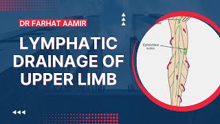 Lymphatic Drainage Of Upper Limb [upl. by Ibrad]