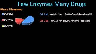 Phase II Metabolism  Pharmacology Lect 8 [upl. by Xenos401]