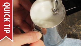 How to AutoFroth Milk for Lattes [upl. by Ennaeel275]