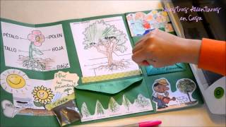 Lapbook Las Plantas [upl. by Bobseine165]