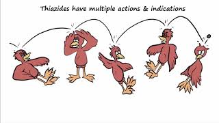 Thiazide Diuretics  Their Multiple Mechanisms amp Indications [upl. by Prissy]