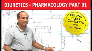 Diuretics  Pharmacology  Part 13 [upl. by Oiretule640]