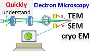 Electron microscope  TEM  SEM  Cryo EM [upl. by Nottirb]