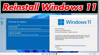 GUIDE How to Reinstall Windows 11 Very Easily amp Quickly Download [upl. by Jobe]