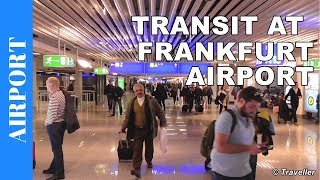 TRANSIT WALK AT FRANKFURT Airport FRA Terminal 1  Connection Flight Transfer Arriving amp Departing [upl. by Jake]