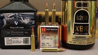 223 Rem  Hornady 73gr ELD  N140 and 8208 XBR [upl. by Anneehs79]