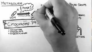 Pharmacokinetics 4  Metabolism [upl. by Nakah]